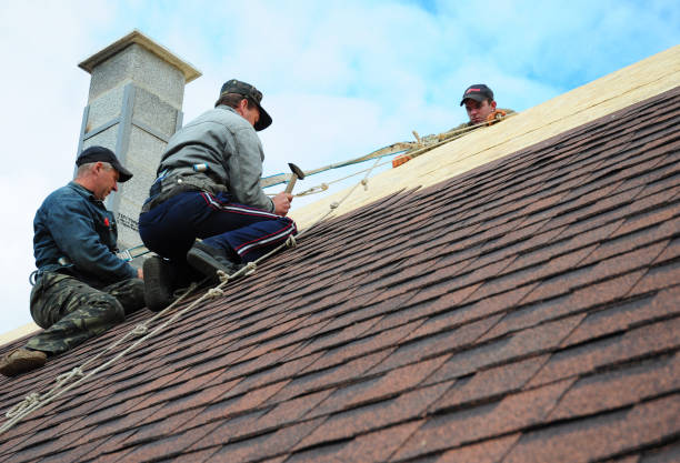 Best Storm Damage Roof Repair  in Fayetteville, AR